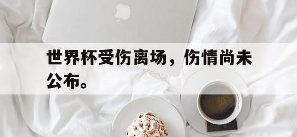 金年会体育-世界杯受伤离场，伤情尚未公布。