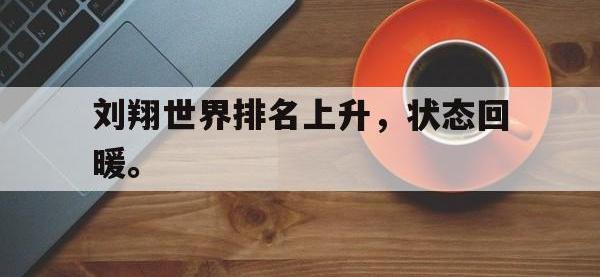 今年会体育官方-刘翔世界排名上升，状态回暖。