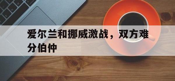 jinnianhui-爱尔兰和挪威激战，双方难分伯仲